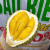 Trái - Sầu Riêng Musang King Miền Đông, Tây Nguyên