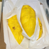 Tách sẵn - Sầu Riêng Musang King Miền Đông, Tây Nguyên